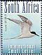 Damara Tern Sternula balaenarum  2014 Critically endangered birds Sheet with 2 sets