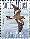 Leach's Storm Petrel Hydrobates leucorhous  2014 Critically endangered birds Sheet with 2 sets
