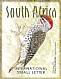 Knysna Woodpecker Campethera notata