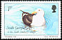 Kelp Gull Larus dominicanus  1987 Birds 