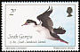 South Georgia Shag Leucocarbo georgianus  1987 Birds 