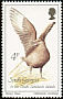 Brown Skua Stercorarius antarcticus  1987 Birds 