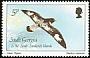 Cape Petrel Daption capense  1987 Birds 