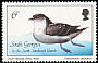 South Georgia Diving Petrel Pelecanoides georgicus  1987 Birds 