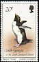 Macaroni Penguin Eudyptes chrysolophus  1987 Birds 