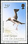 Light-mantled Albatross Phoebetria palpebrata  1987 Birds 