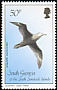 Southern Giant Petrel Macronectes giganteus  1987 Birds 