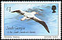 Wandering Albatross Diomedea exulans  1987 Birds 