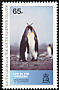 King Penguin Aptenodytes patagonicus