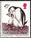 Chinstrap Penguin Pygoscelis antarcticus  1996 Chinstrap Penguin 