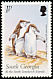 Chinstrap Penguin Pygoscelis antarcticus  1999 Birds 