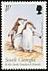 Chinstrap Penguin Pygoscelis antarcticus