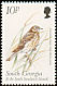 South Georgia Pipit Anthus antarcticus  1999 Birds 