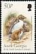 Macaroni Penguin Eudyptes chrysolophus  1999 Birds 