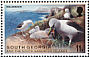 Black-browed Albatross Thalassarche melanophris  1999 Millennium 6v set