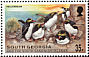 Macaroni Penguin Eudyptes chrysolophus  1999 Millennium 6v set