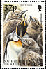 King Penguin Aptenodytes patagonicus  2000 King Penguin 