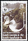 Grey-headed Albatross Thalassarche chrysostoma  2003 WWF wmk upright