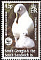 Grey-headed Albatross Thalassarche chrysostoma  2003 WWF wmk upright