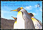 King Penguin Aptenodytes patagonicus  2005 Penguins 