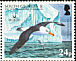 Black-browed Albatross Thalassarche melanophris  2006 BirdLife International 