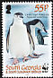 Chinstrap Penguin Pygoscelis antarcticus