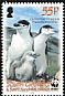 Chinstrap Penguin Pygoscelis antarcticus  2008 WWF 