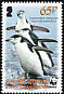 Chinstrap Penguin Pygoscelis antarcticus  2008 WWF 