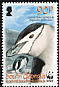 Chinstrap Penguin Pygoscelis antarcticus