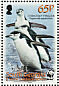 Chinstrap Penguin Pygoscelis antarcticus