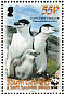 Chinstrap Penguin Pygoscelis antarcticus