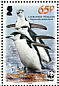 Chinstrap Penguin Pygoscelis antarcticus