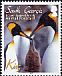 King Penguin Aptenodytes patagonicus  2010 Penguins 