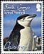 Chinstrap Penguin Pygoscelis antarcticus