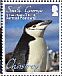 Chinstrap Penguin Pygoscelis antarcticus