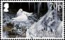 Snow Petrel Pagodroma nivea  2011 Petrels 