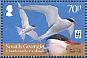 Antarctic Tern Sterna vittata  2012 WWF Sheet with 4 sets