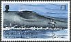 Cape Petrel Daption capense  2012 Blue Whale 4v set