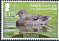 Yellow-billed Pintail Anas georgica  2019 Habitats restored 6v set