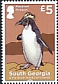 Macaroni Penguin Eudyptes chrysolophus