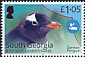 Gentoo Penguin Pygoscelis papua  2021 Blue Belt Programme 4v set
