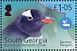 Gentoo Penguin Pygoscelis papua  2021 Blue Belt Programme 4v sheet