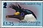 South Georgia Shag Leucocarbo georgianus  2022 Central islands 6v set