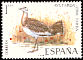 Great Bustard Otis tarda