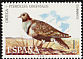 Black-bellied Sandgrouse Pterocles orientalis  1973 Spanish fauna 