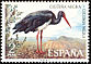 Black Stork Ciconia nigra  1973 Spanish fauna 
