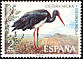 Black Stork Ciconia nigra