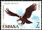 Spanish Imperial Eagle Aquila adalberti  1973 Spanish fauna 