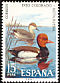 Red-crested Pochard Netta rufina  1973 Spanish fauna 