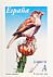 House Sparrow Passer domesticus  2006 Flora and fauna Booklet, sa
